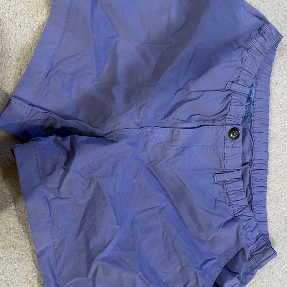 Chubbies Blue Flat Front Men's Shorts